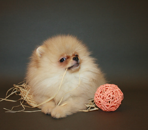 Image-preview_300x200
