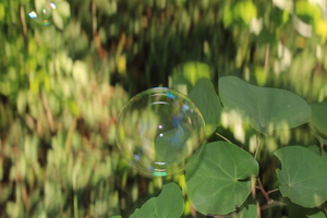 Image-preview_300x200