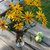 Image-square_50
