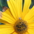 Image-square_50