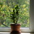 Image-square_50