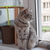 Image-square_50