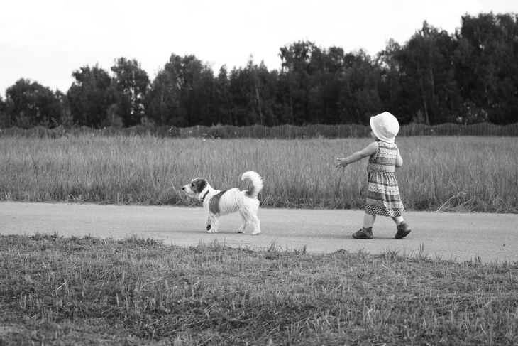 Image-normal