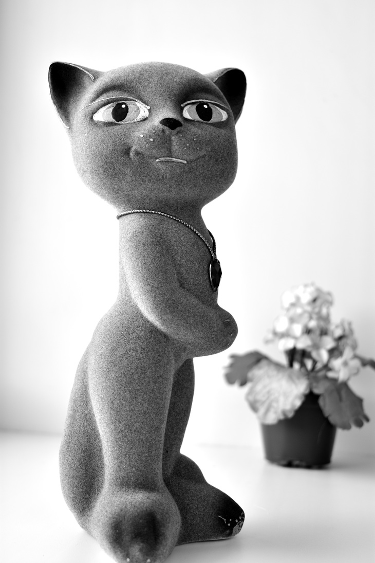 Image-normal