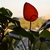 Image-square_50