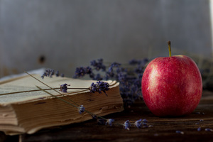 Image-preview_300x200