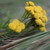 Image-square_50