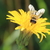 Image-square_50