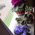 Image-square_50