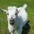 Image-square_50