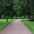 Image-square_50