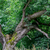 Image-square_50