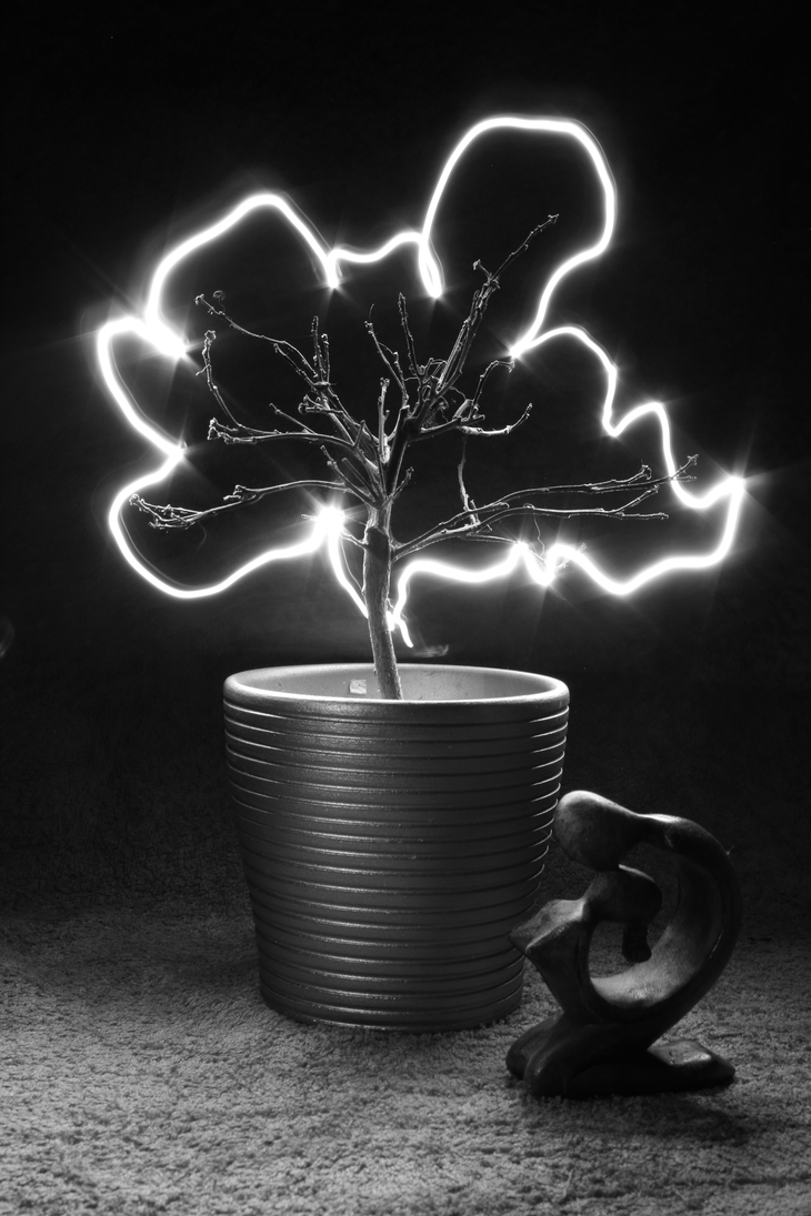 Image-normal