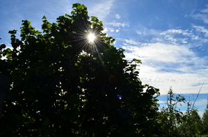 Image-preview_300x200