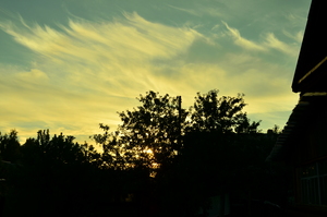 Image-preview_300x200