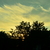 Image-square_50