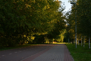 Image-preview_300x200