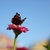 Image-square_50