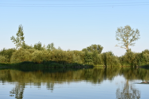 Image-preview_300x200