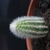 Image-square_50