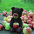 Image-square_50