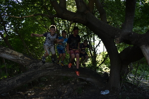 Image-preview_300x200