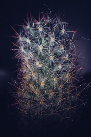 Image-preview_300x200