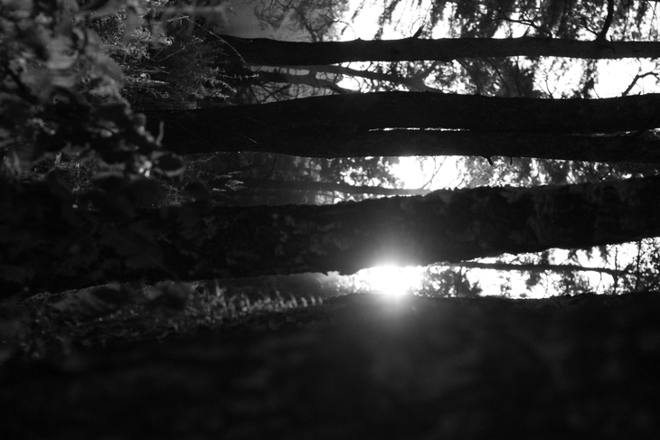 Image-normal