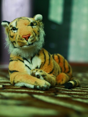 Image-preview_300x200