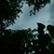 Image-square_50