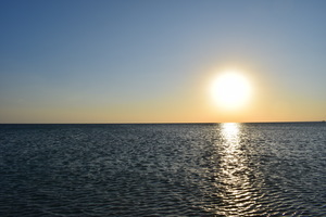 Image-preview_300x200