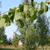 Image-square_50