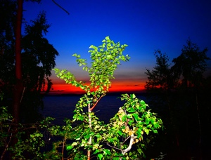Image-preview_300x200
