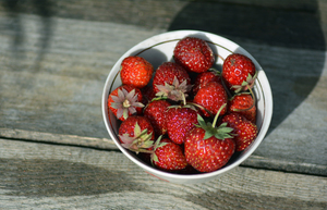 Image-preview_300x200