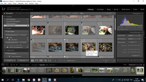 Image-preview_300x200