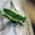 Image-square_50
