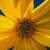 Image-square_50