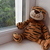 Image-square_50
