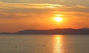 Image-preview_300x200