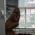 Image-square_50