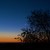 Image-square_50