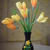 Image-square_50