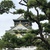 Image-square_50