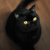 Image-square_50