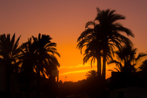 Image-preview_300x200