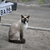 Image-square_50