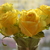 Image-square_50