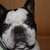 Image-square_50
