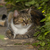 Image-square_50