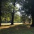Image-square_50